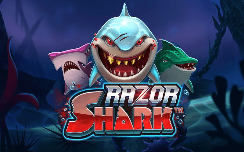 Probieren Sie das Spiel Razor Shark bei Locowin aus.