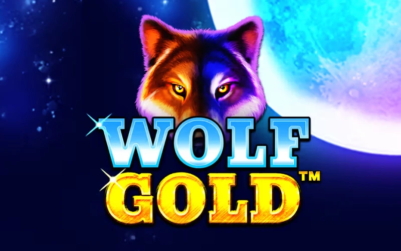 Chase wild rewards in the Wolf Gold slot game at Locowin.