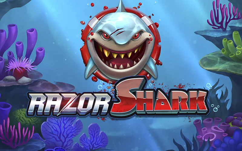 Tauchen Sie mit Razor Shark bei Locowin ab.
