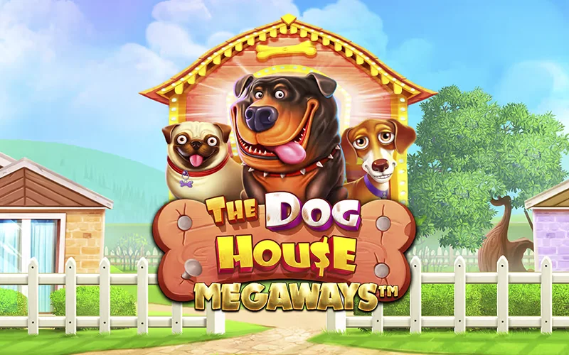Spielen Sie The Dog House im Locowin Casino.